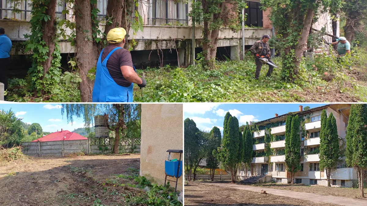Colaj ilustrativ din fotografiile lucrărilor DRUPO la Stațiunea Negulești, septembrie 2026
