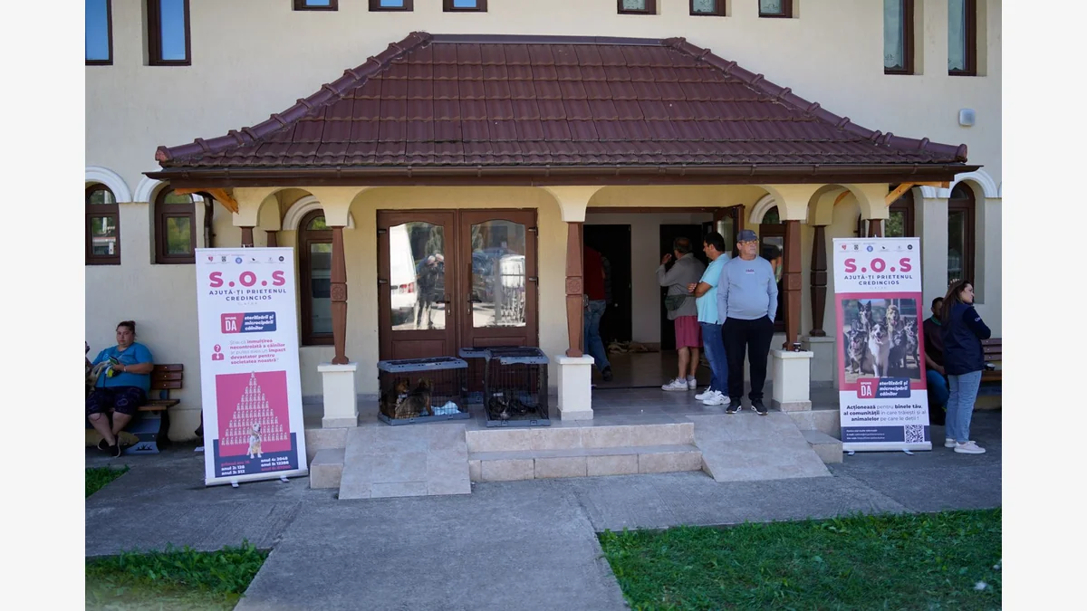 Intrarea în Căminul Cultural Pângărați-Castel, în timpul campaniei pentru câini