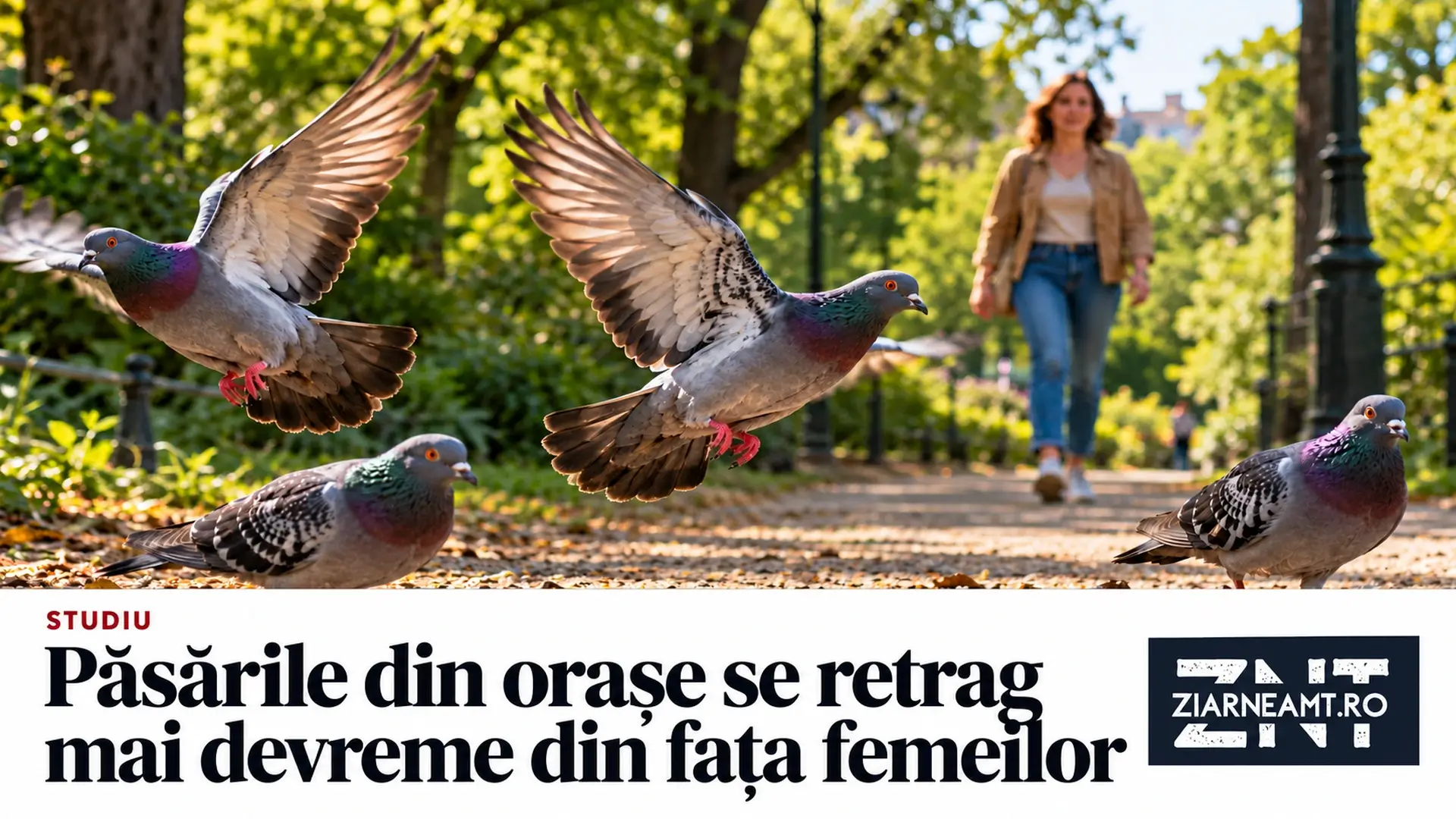 Porumbei care își iau zborul într-un parc și o femeie în fundal, pe coperta Ziar Neamț